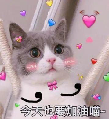 结局未定，相信他们的未来依旧blingbling