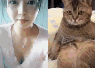 内涵GIF美女图片 我感觉这个黑衣女快受不了了 热门段子 热图6