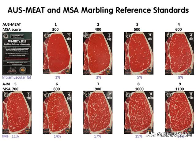 澳洲牛羊肉科普系列 | 澳洲和牛知多少？