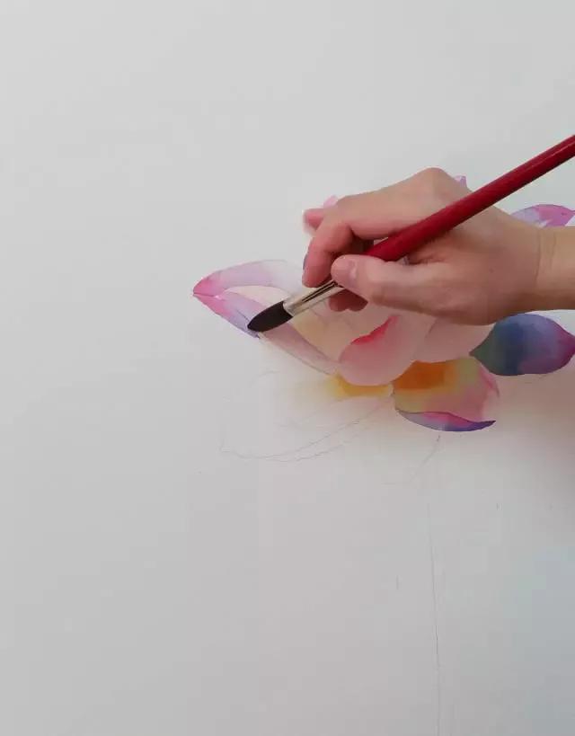 水彩画入门：一个超详细的水彩荷花教程