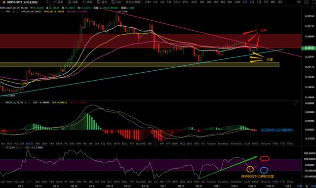 10/19价格分析：BTC、BCH、ETH、XRP、LTC、ZEC、LINK I Damo行情9