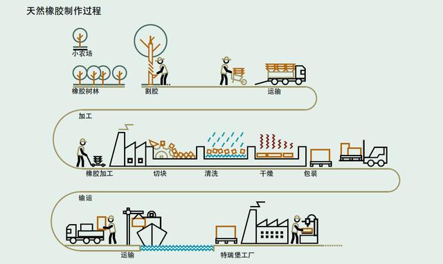 走,带你去看天然橡胶的制作过程