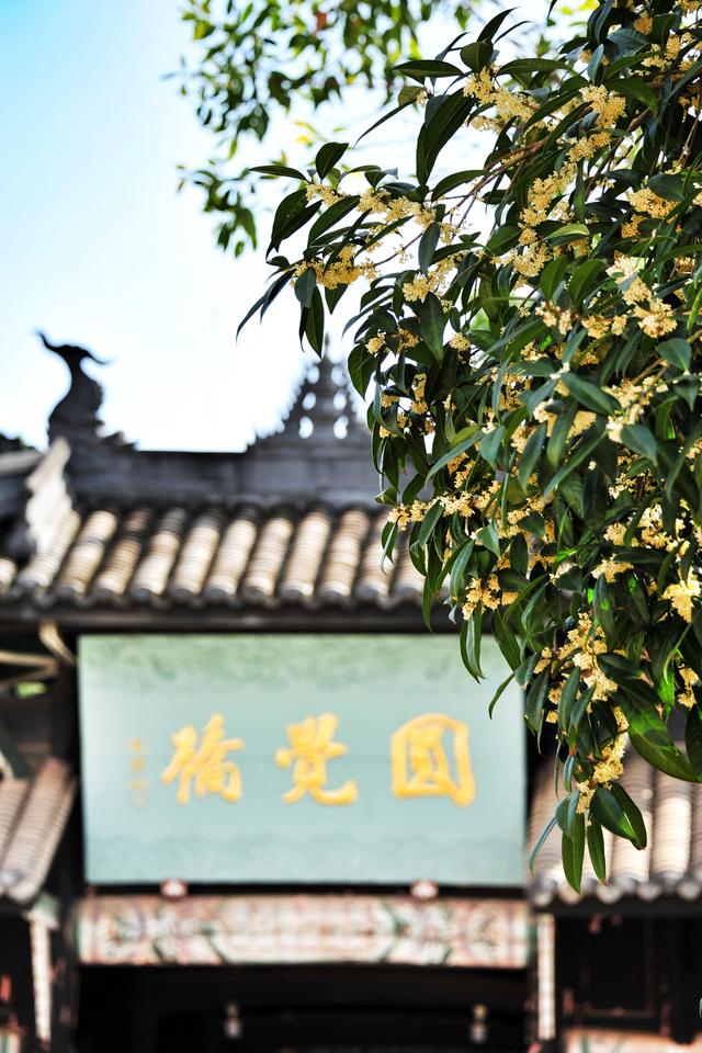 继北上广深后,又出现一座一线城市,竟然是四川名不见经传的小城 继北上广深后,又出现一座一线城市,竟然是四川名不见经传的小城