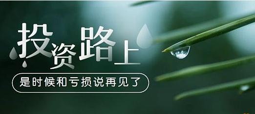 杨凯  你为什么会亏损 凯哥有话讲
