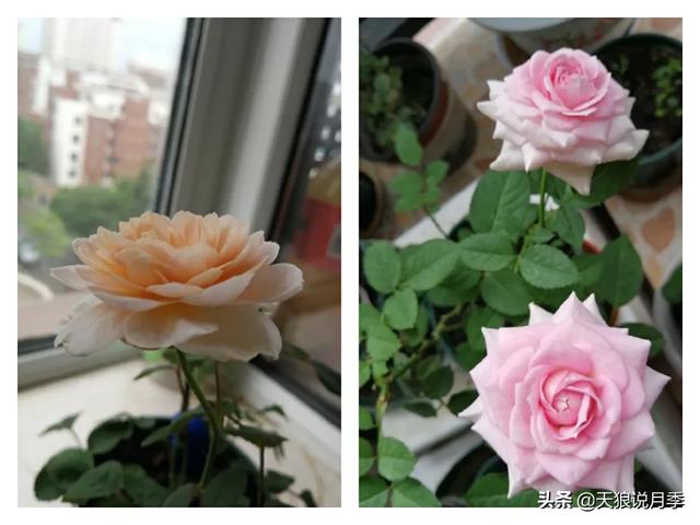 影片剧照