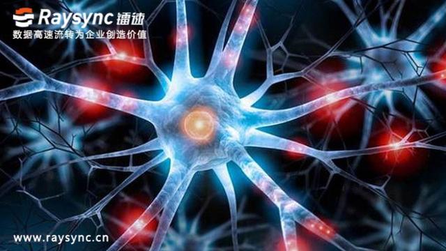 大檔案傳輸軟體——生命科學中的關鍵因素