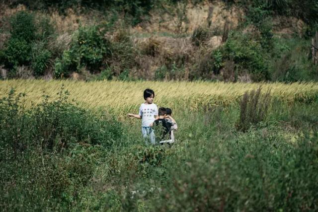 设计|遇见岭南丨青山周平：探索下一个时代的空间和生活方式