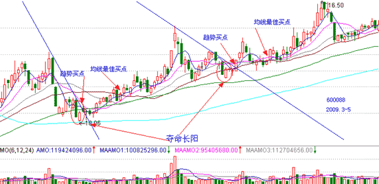 杨凯  技术指标分析  夺命长阳