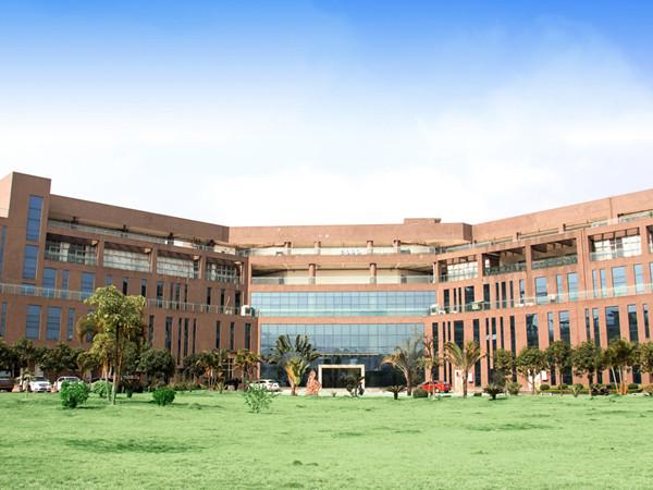 2020荣誉企业推荐|买什么面膜比较好？看看阿贝尔的“宝贝面膜”们！