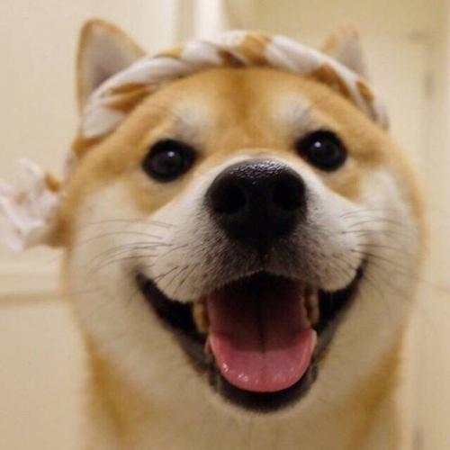 帆式说球