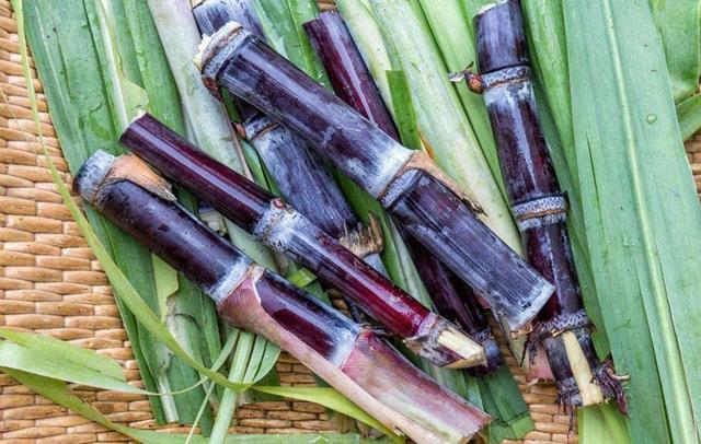 减肥|12种水果，你以为能减肥，实际上却增肥，你却每天都在吃