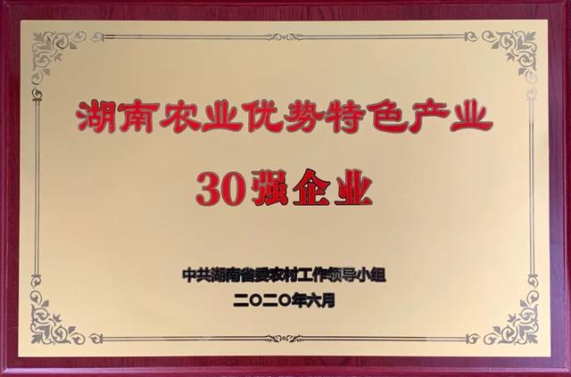 鹽津鋪?zhàn)荧@評(píng)湖南農(nóng)業(yè)優(yōu)勢(shì)特色產(chǎn)業(yè)30強(qiáng)企業(yè)