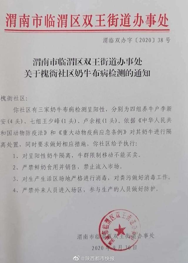 福清东张镇镇长王童童图片