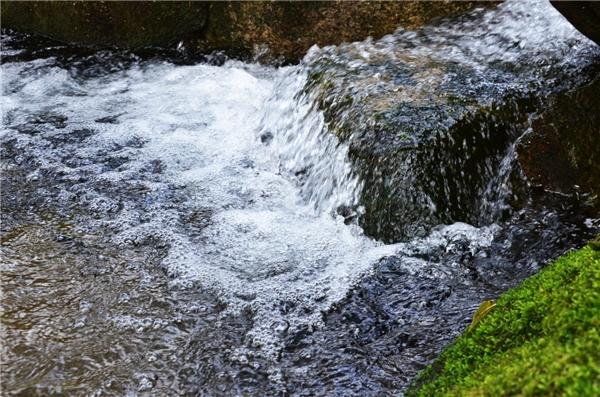 广告|茱萸红、银杏黄直播对焦伏牛山，领略仲景宛西药材基地深秋之美