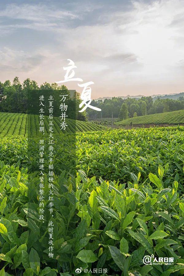 5月营销日历来袭这几个热点一定要把握好