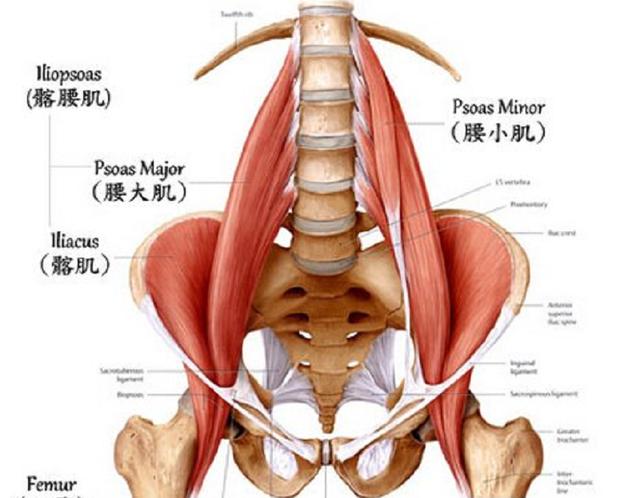 不同臀痛症状最常见8种疾病对照表值得收藏