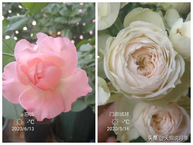 影片剧照