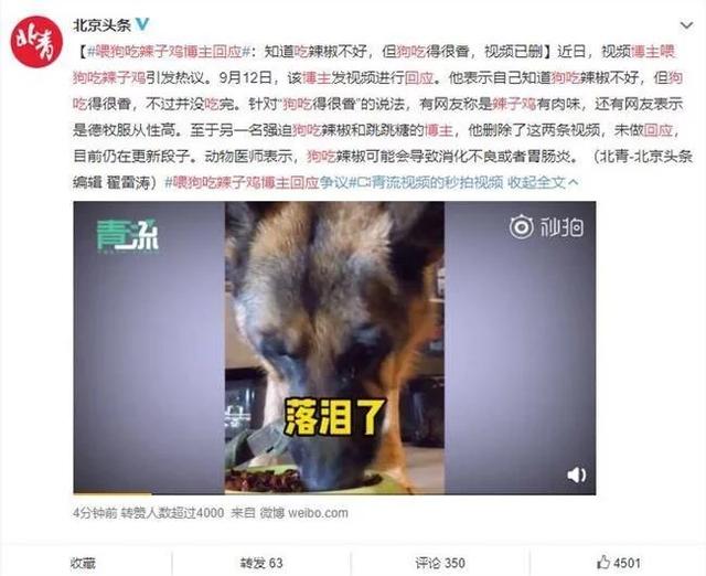 喂狗吃辣子鸡博主回应争议：视频已经删除 不会再拍类似视频