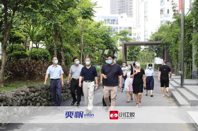 文旅部领导到奕帆信息科技（深圳）有限公司科技考察