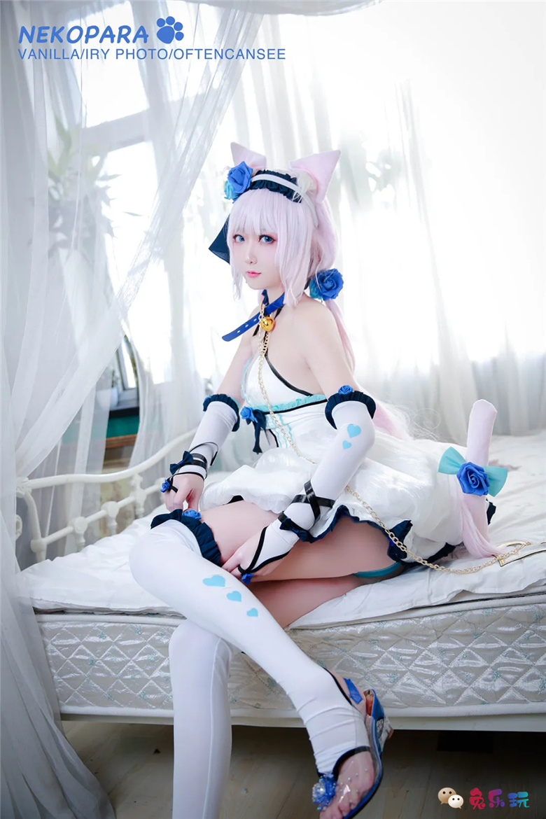 艾瑞有点甜图包合集精选丨猫娘乐园·香草