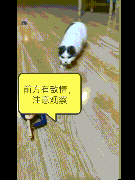有意思的动图图片:现在才知道,原来公路上的栏杆是这样清洗的
