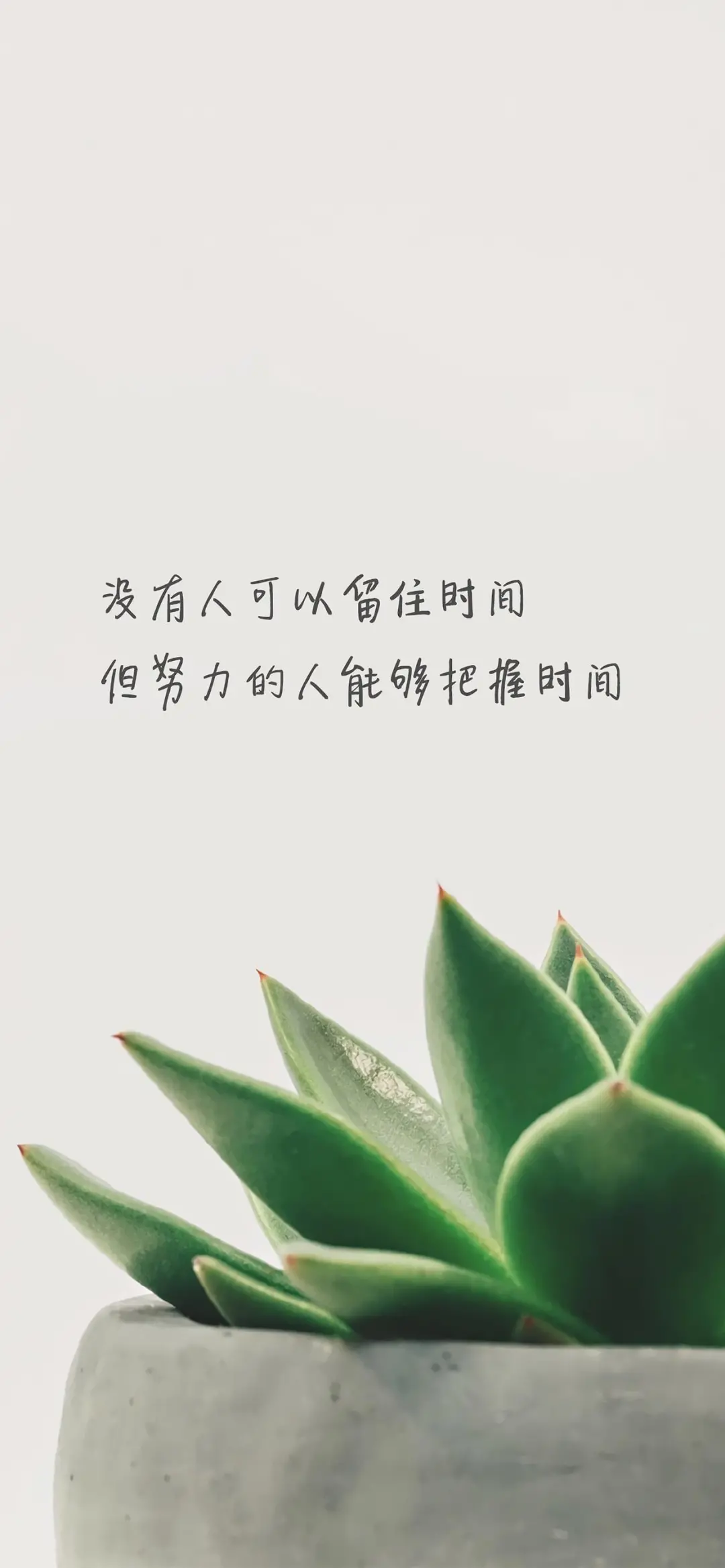 朋友圈正能量的早安配图图片，励志早上好问候语句子