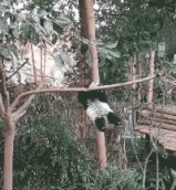 搞笑动态图片：没事别乱跳槽，饭碗难保啊！