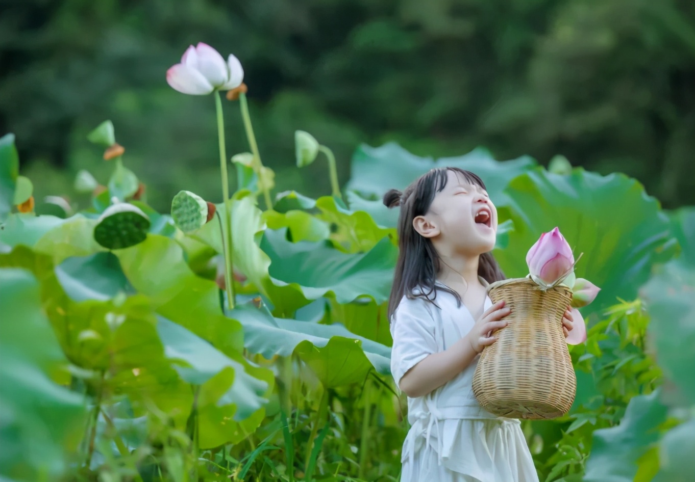 最好是有山,有水还有田野,乡村,采莲,泥塘抓鱼,摘西瓜,捉蜻蜓……像个