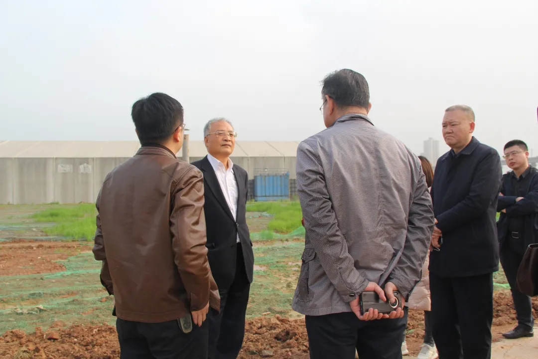 中央生态环保督察进行时丨湘潭市领导督导南天治理项目进展