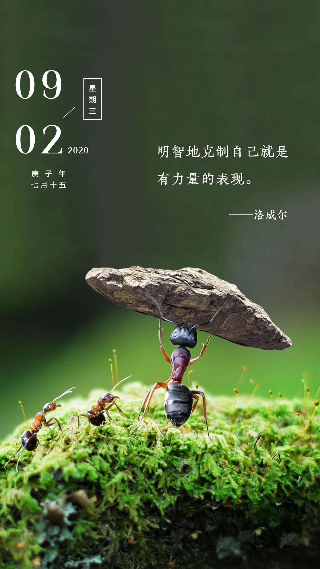 9月正能量早上好祝福语句带图片