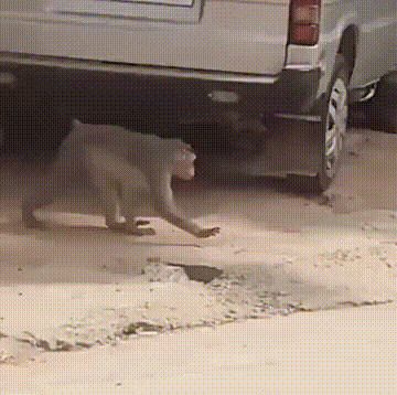 搞笑动图GIF：妹子调皮了！我都想试试了！