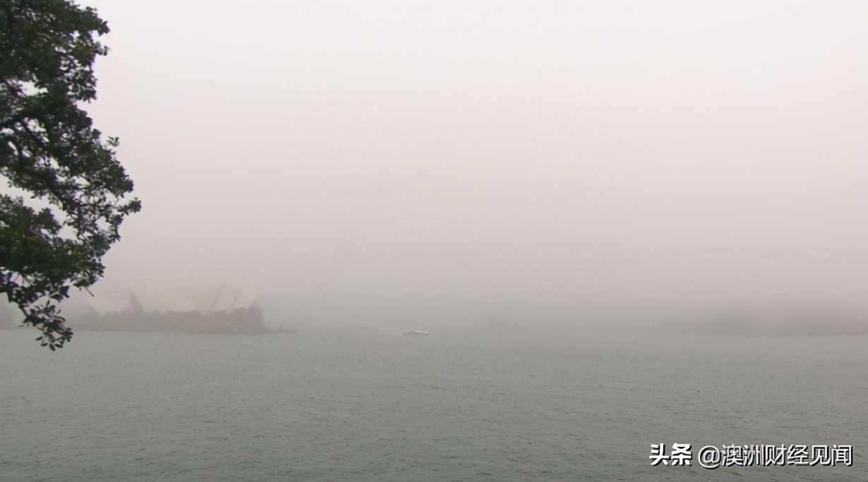 悉尼被浓雾笼罩！气温达20度以上 潮湿天气持续