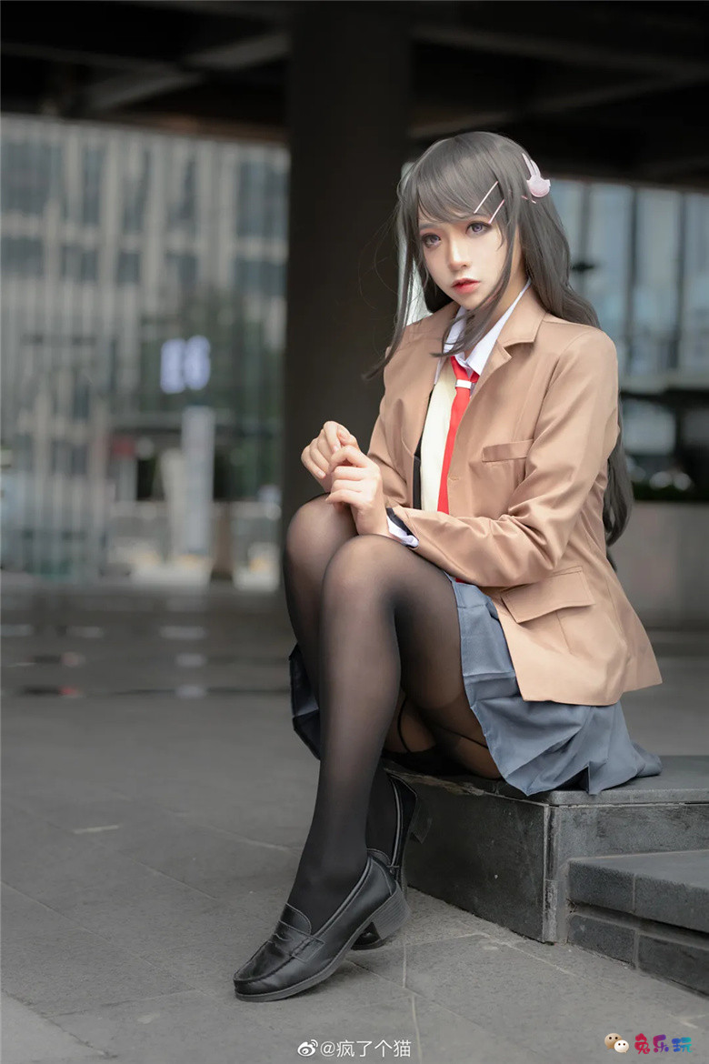 疯了个猫丨《青春猪头少年系列》樱岛麻衣