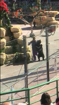 笑到肚子疼的GIF:你这么对新娘子开玩笑,迟早有一天坟头会长草的