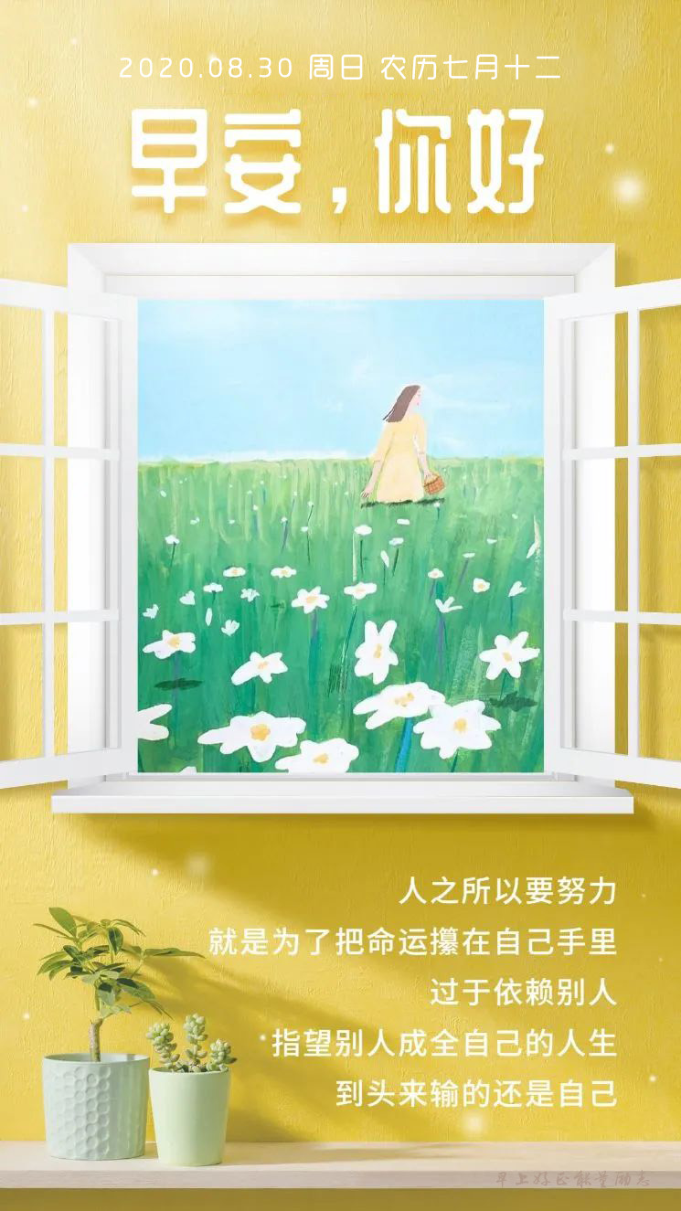 阳光奋斗周末早晨问候语语录带图片