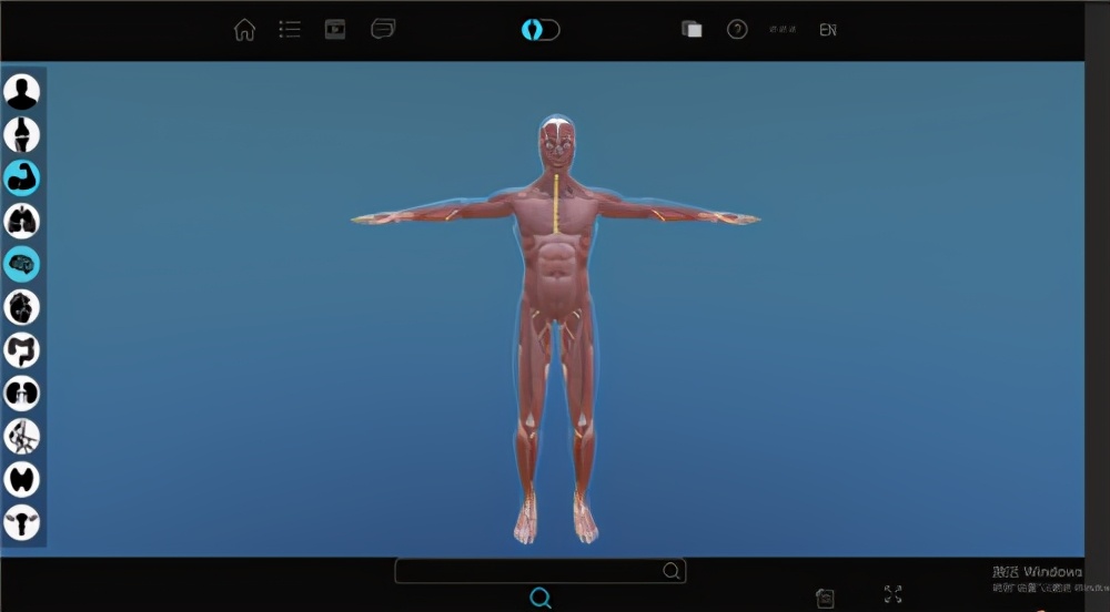 北京歐倍爾開發出人體數字解剖3d虛擬仿真軟件:深知解剖學對醫生的