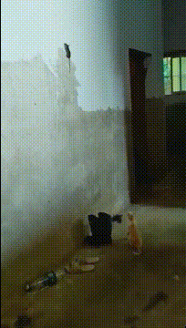搞笑GIF：老鼠：哥，看钢管舞不？