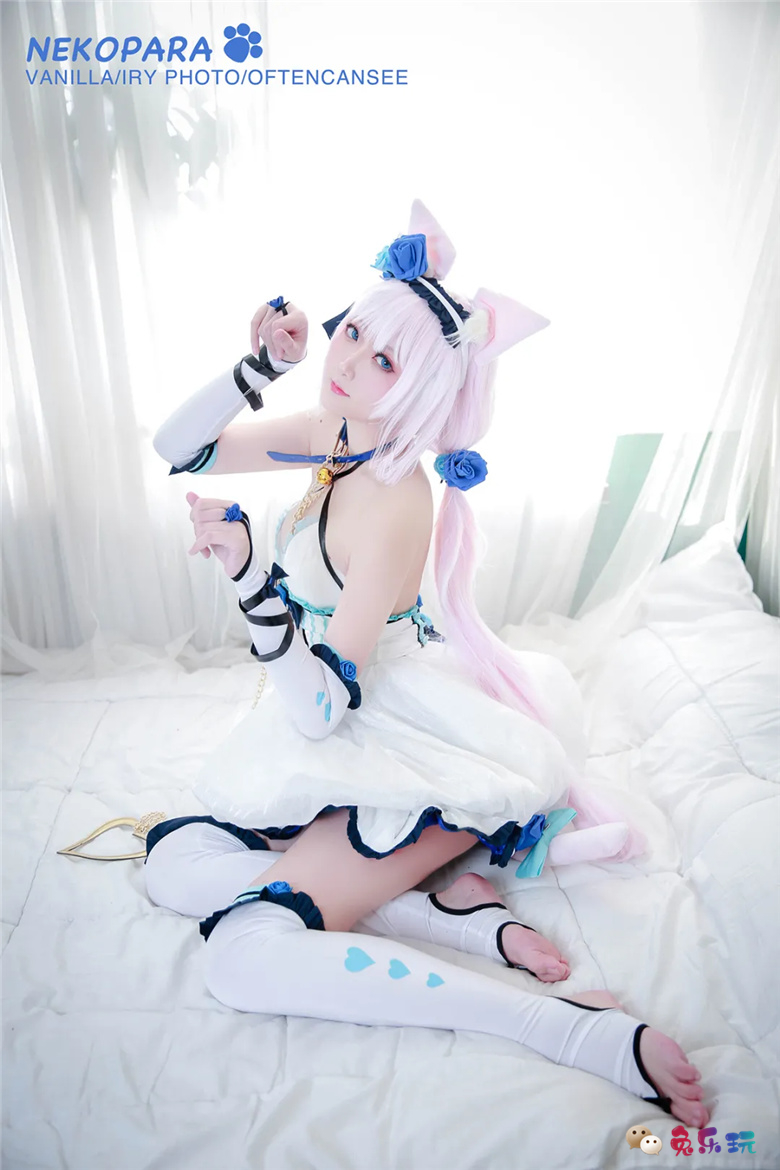 艾瑞有点甜图包合集精选丨猫娘乐园·香草