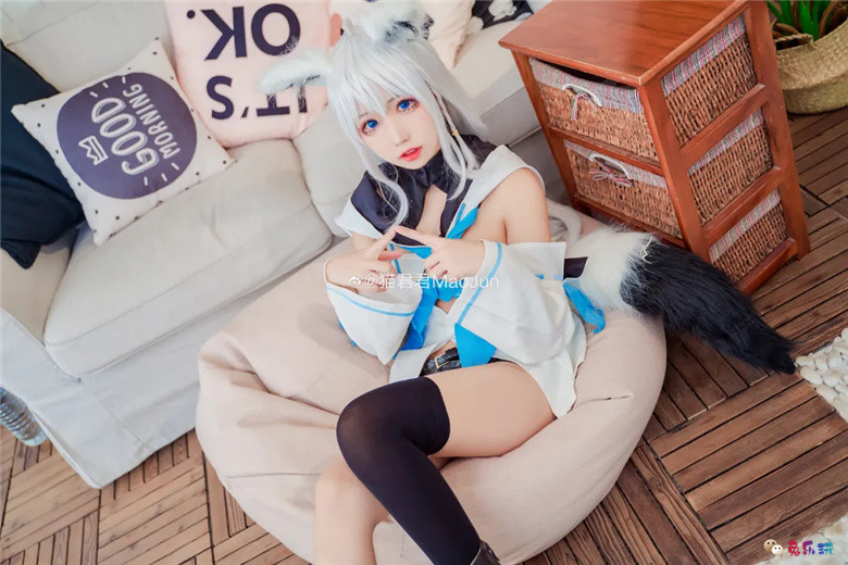 猫君君MaoJun丨《hololive》白上吹雪