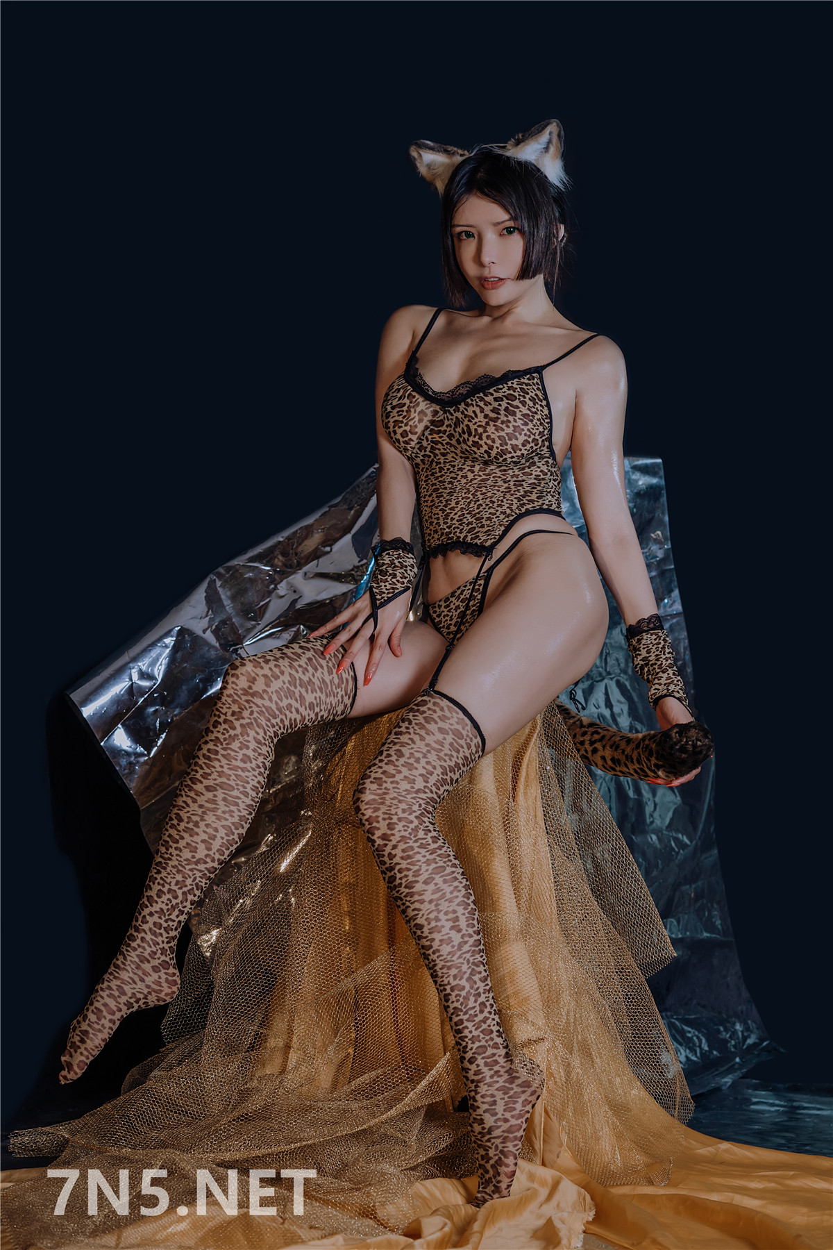 秋和柯基后期作品 H041 兽耳娘 豹女[45P1V-980MB]