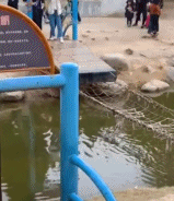 笑到肚子疼的GIF:你这么对新娘子开玩笑,迟早有一天坟头会长草的