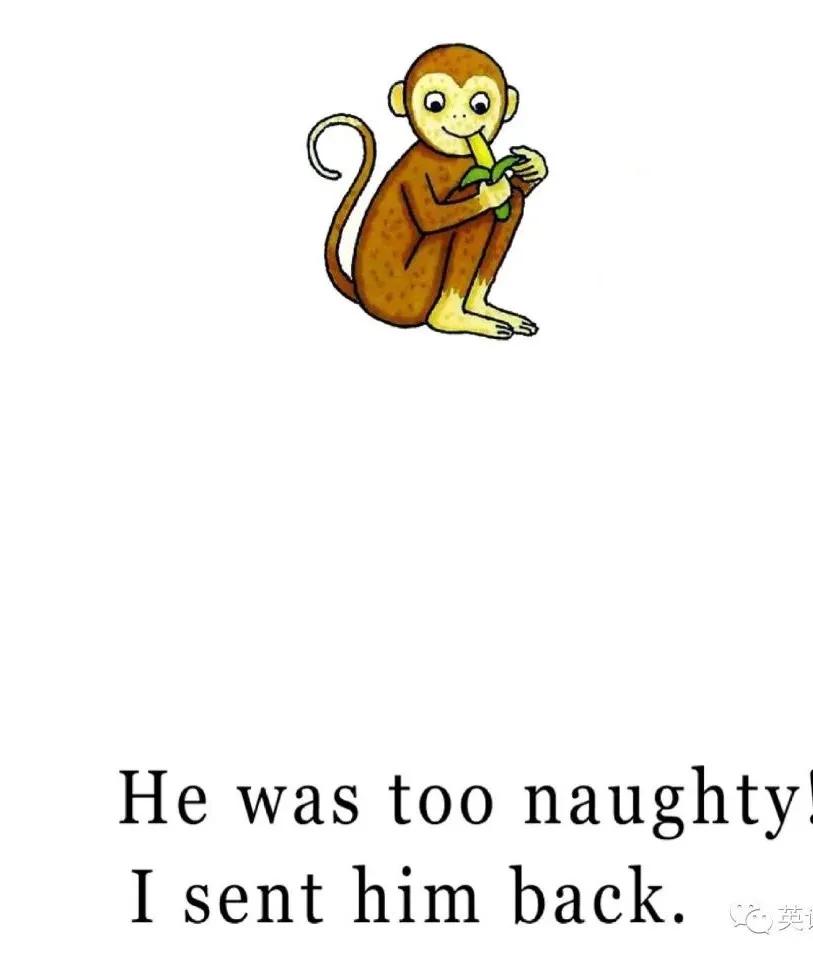 销量200万册的英语绘本故事野生动物园dearzoo音频pdf点读包拓展包