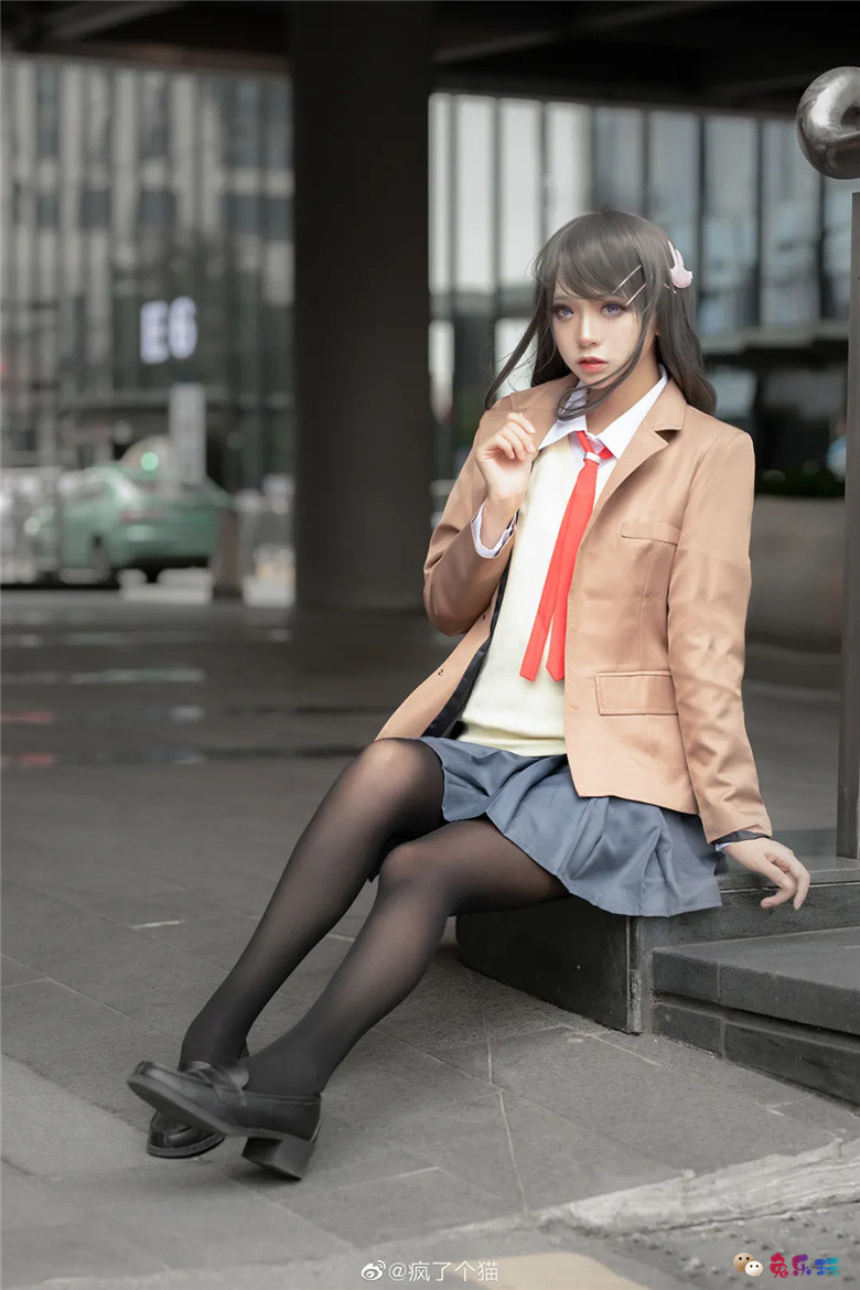 疯了个猫丨《青春猪头少年系列》樱岛麻衣