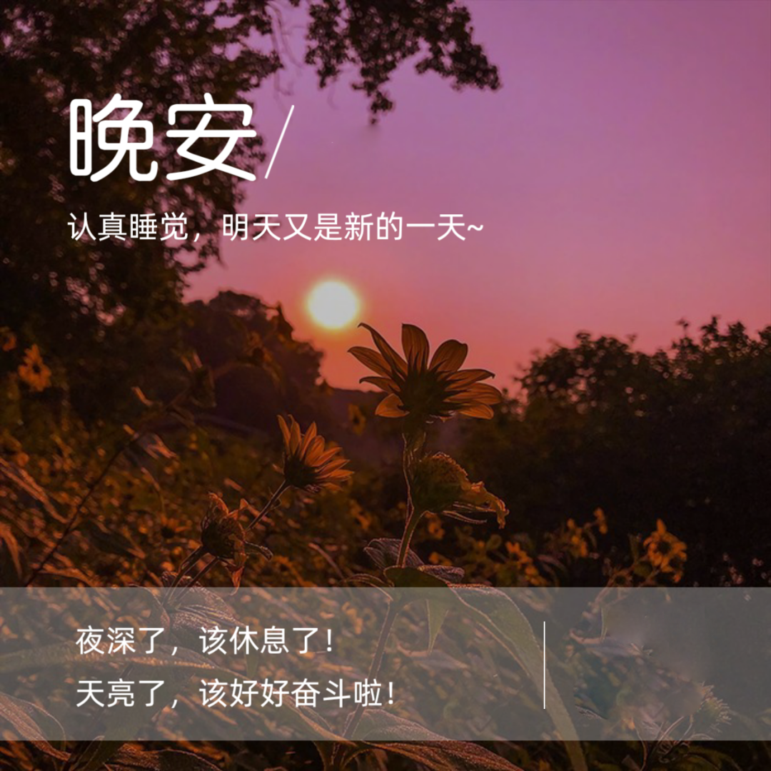 有气质的朋友圈晚安心语文案，赞不绝口