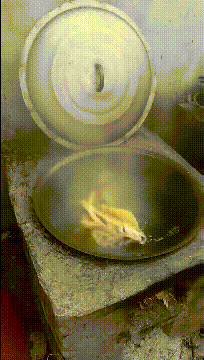 鱼：遇到一个不会做饭了，看来只好自己来了！