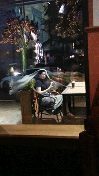 搞笑动图：明明你动了情，却又不靠近！