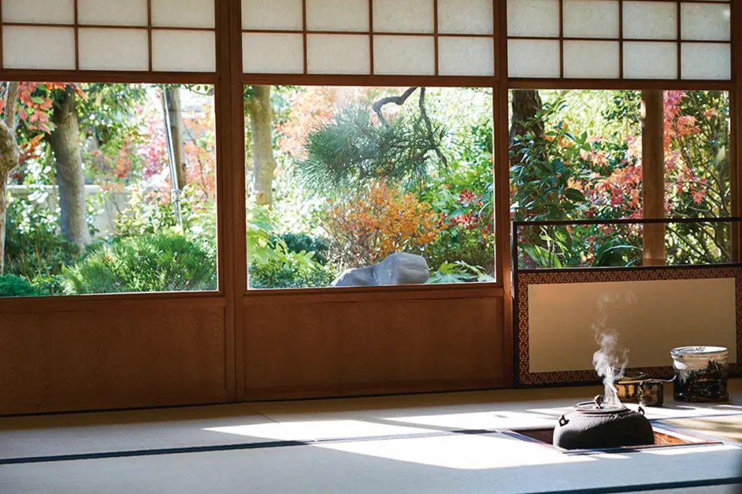 如何打造茶室花 这个流派值得细品 Sikastone