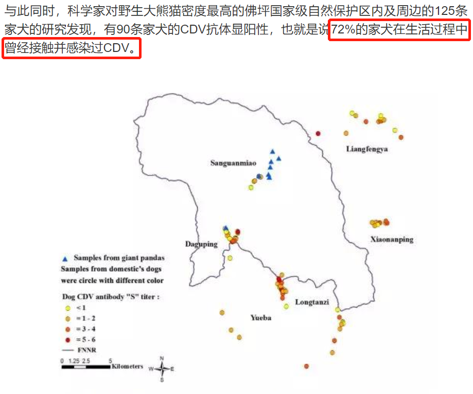 韩国女团浓妆抱熊猫幼崽，结果被挂热搜骂了一天…