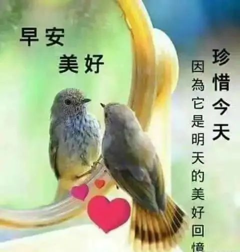 秋天早上好图片表情问候语句子