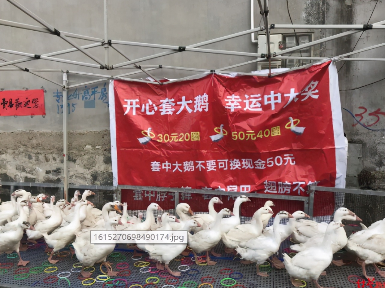 还有很多外地人,专门过来摆摊做起了像套圈这样的生意.